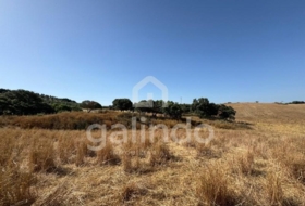 Morón de la Frontera 126653&nbsp;m² 