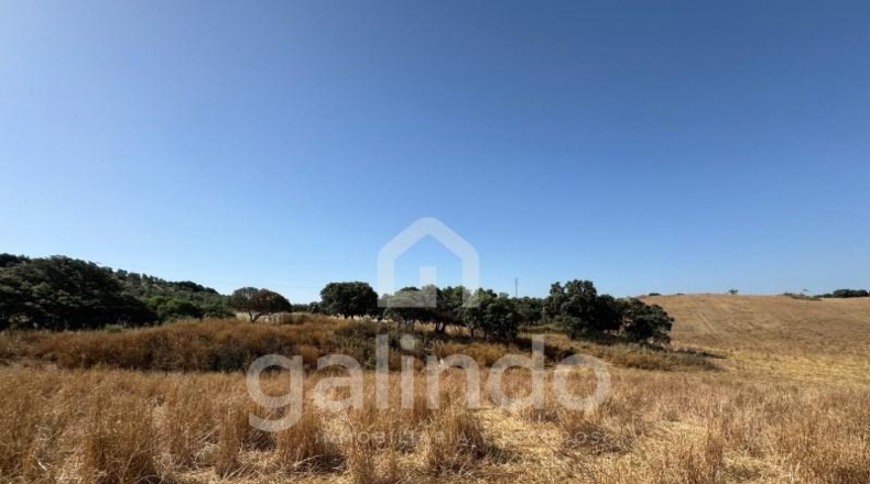 Sevilla - Morón de la Frontera - 126653m2