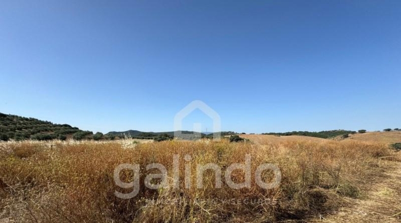 Sevilla - Morón de la Frontera - 126653m2