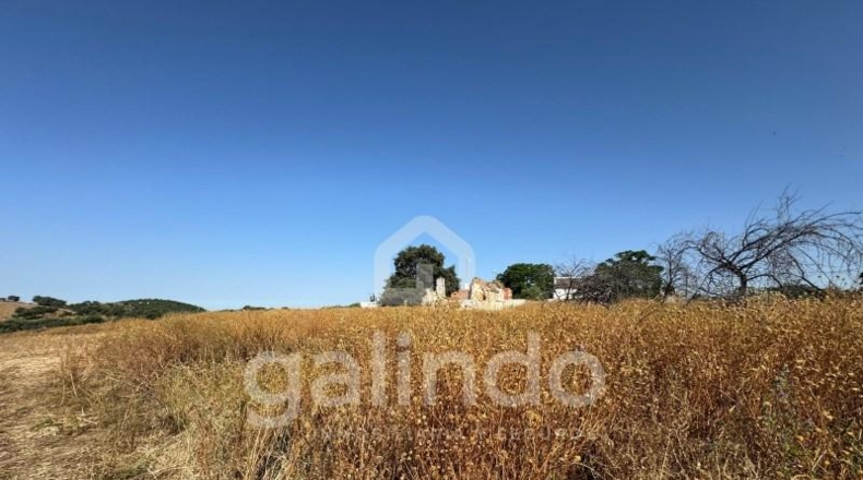 Sevilla - Morón de la Frontera - 126653m2