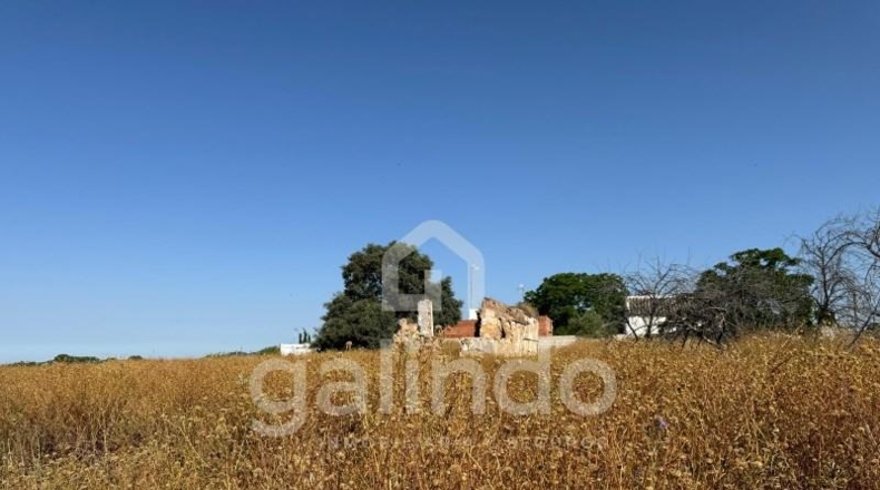 Sevilla - Morón de la Frontera - 126653m2