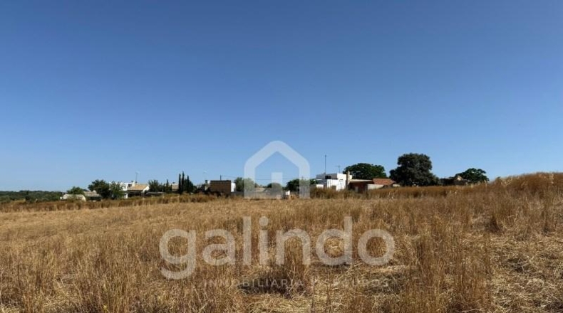 Sevilla - Morón de la Frontera - 126653m2