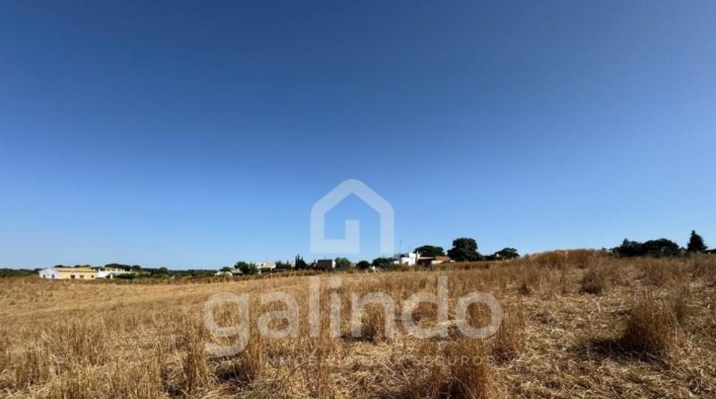 Sevilla - Morón de la Frontera - 126653m2