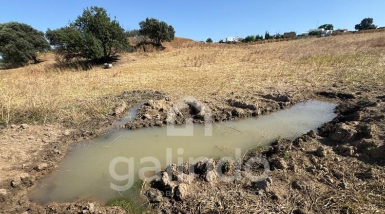 Sevilla - Morón de la Frontera - 126653m2