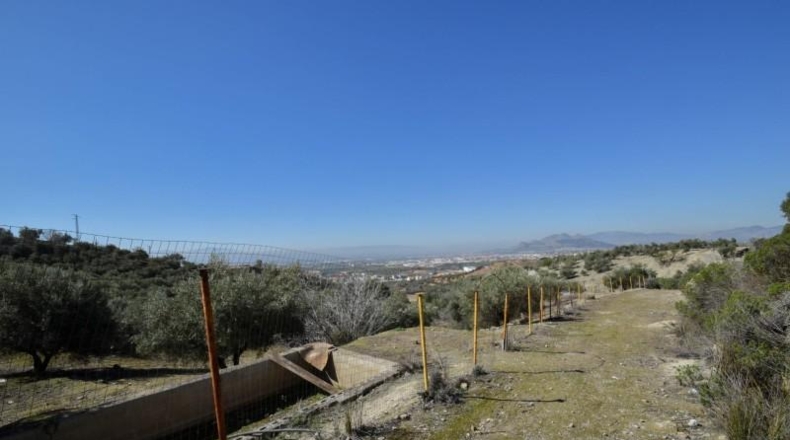 Granada - Granada - 31700m2