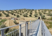 Detached villa with land for sale on España, Granada, ref: TR319840 photo
