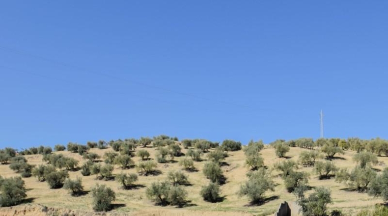Granada - Granada - 31700m2