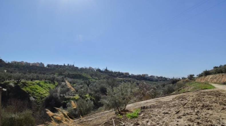 Granada - Granada - 31700m2