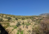 Detached villa with land for sale on España, Granada, ref: TR319840 photo
