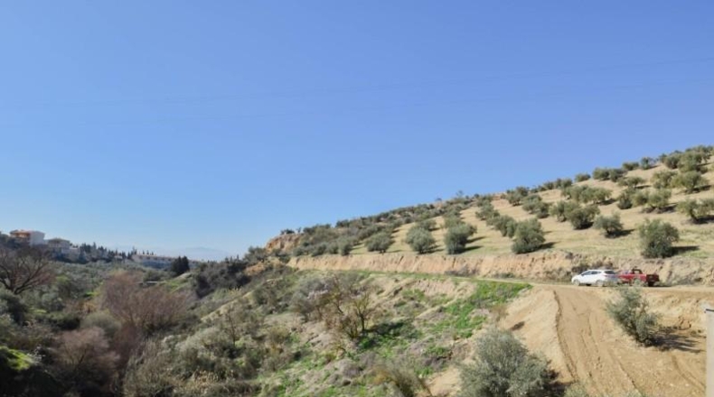Granada - Granada - 31700m2