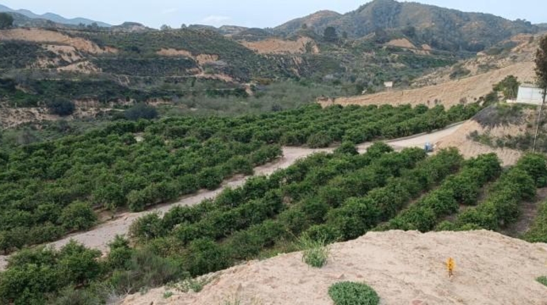 Murcia - Murcia - 24552m2
