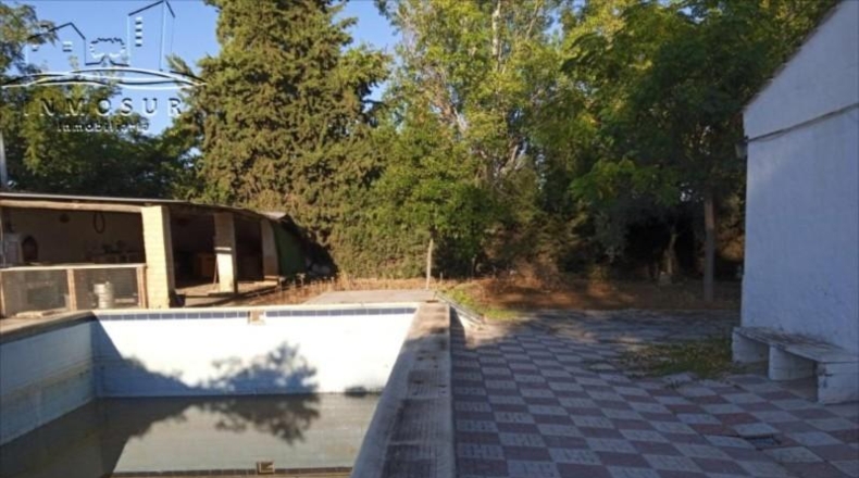 Córdoba - Lucena - 1000m2