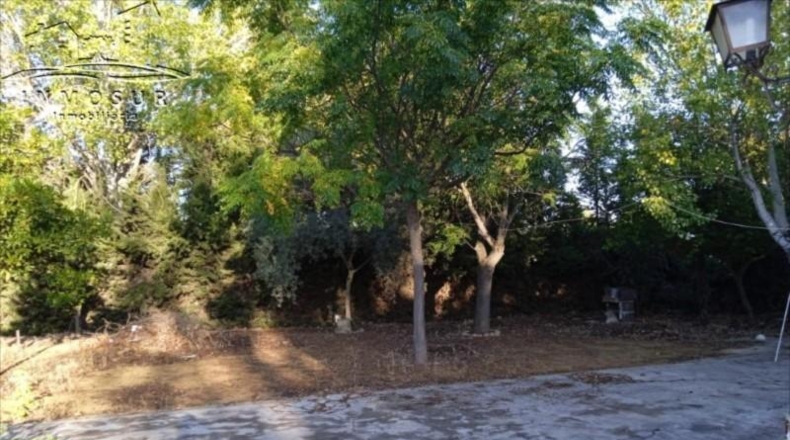Córdoba - Lucena - 1000m2