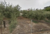 Parcel·la urbanitzable en venda a la España, Lucena, ref.: TR242010 foto