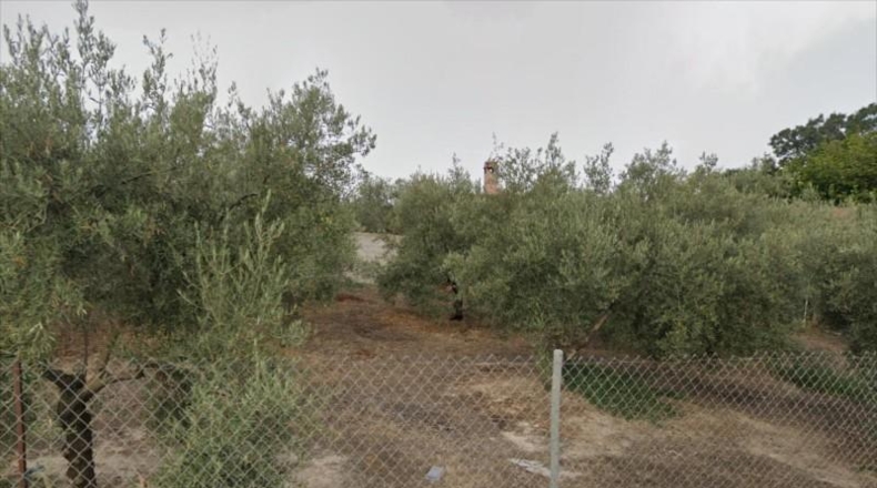 Córdoba - Lucena - 3000m2