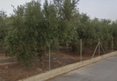 Parcel·la urbanitzable en venda a la España, Lucena, ref.: TR242010 foto