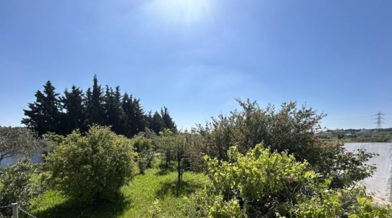Navarre - Tudela - 4000m2