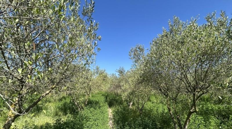 Navarre - Tudela - 4000m2