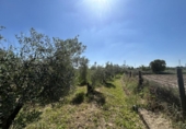 Casa de campo con terreno en venta en la España, Tudela, ref: TR244668 foto
