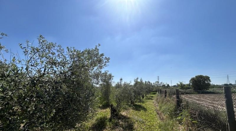 Navarre - Tudela - 4000m2