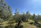 Casa de campo con terreno en venta en la España, Tudela, ref: TR244668 foto