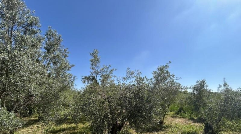 Navarre - Tudela - 4000m2