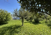 Casa de campo con terreno en venta en la España, Tudela, ref: TR244668 foto