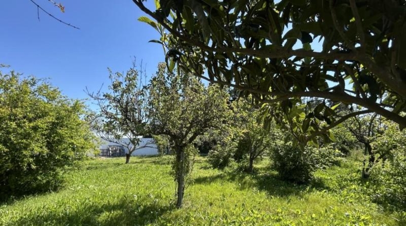 Navarre - Tudela - 4000m2
