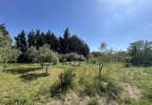 Casa de campo con terreno en venta en la España, Tudela, ref: TR244668 foto