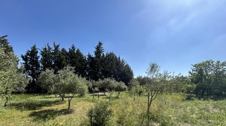 Navarre - Tudela - 4000m2