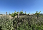 Casa de campo con terreno en venta en la España, Tudela, ref: TR244668 foto
