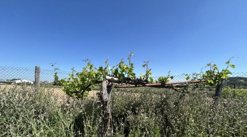 Navarre - Tudela - 4000m2