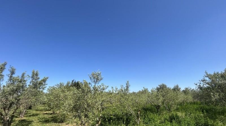 Navarre - Tudela - 4000m2