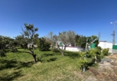 Casa de campo con terreno en venta en la España, Tudela, ref: TR244668 foto