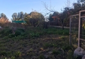 Sòl urbà en venda a la España, Almoster, ref.: TR198105 foto