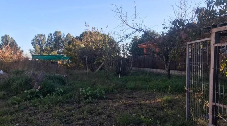 Tarragona - Almoster - 519m2