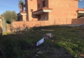 Sòl urbà en venda a la España, Almoster, ref.: TR198105 foto