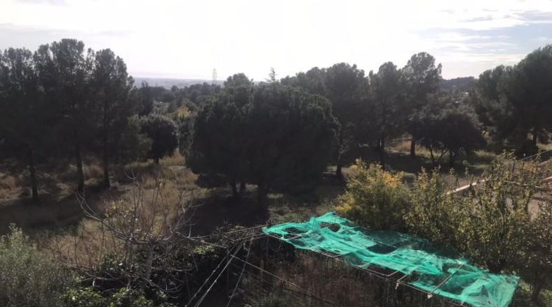 Tarragona - Almoster - 519m2