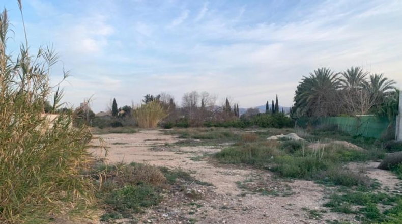 Murcia - Murcia - 1800m2