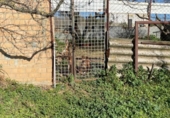 Casa de camp amb terreny en venda a la España, Arcos de la Frontera, ref.: TR218176 foto