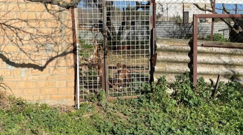 Cádiz - Arcos de la Frontera - 69m2