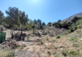 Terreny no urbanitzable en venda a la España, Calp, ref.: TR238669 foto