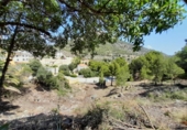 Terreny no urbanitzable en venda a la España, Calp, ref.: TR238669 foto