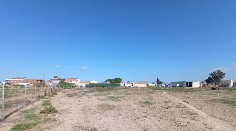 Murcia - Murcia - 10000m2