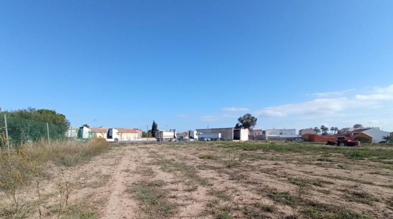Murcia - Murcia - 10000m2