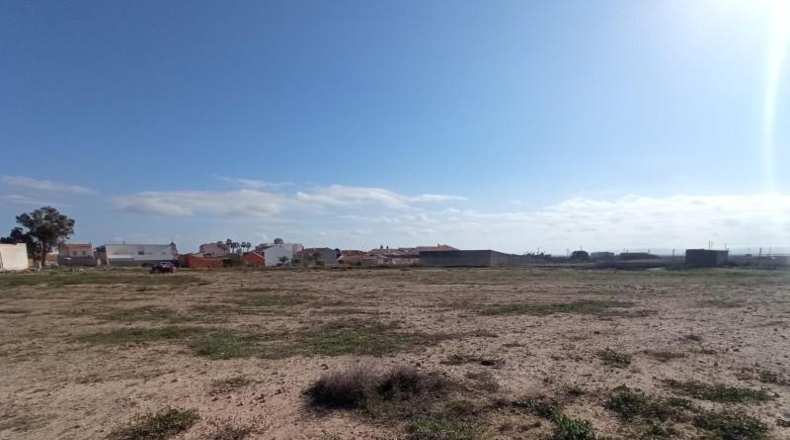 Murcia - Murcia - 10000m2
