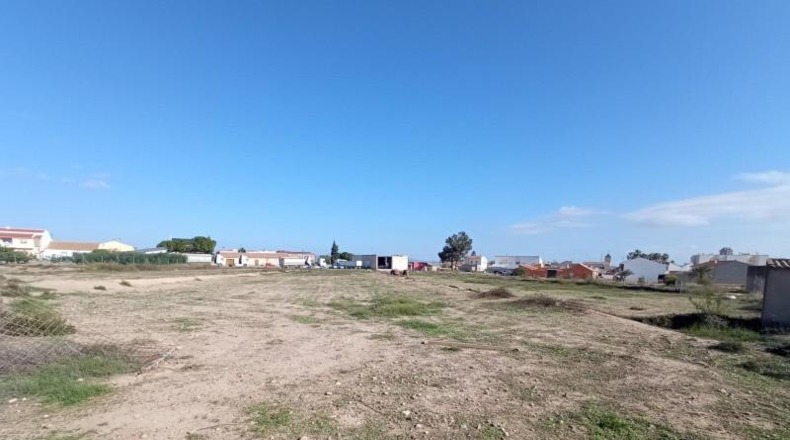 Murcia - Murcia - 10000m2