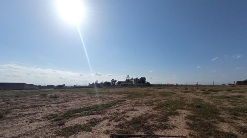 Murcia - Murcia - 10000m2
