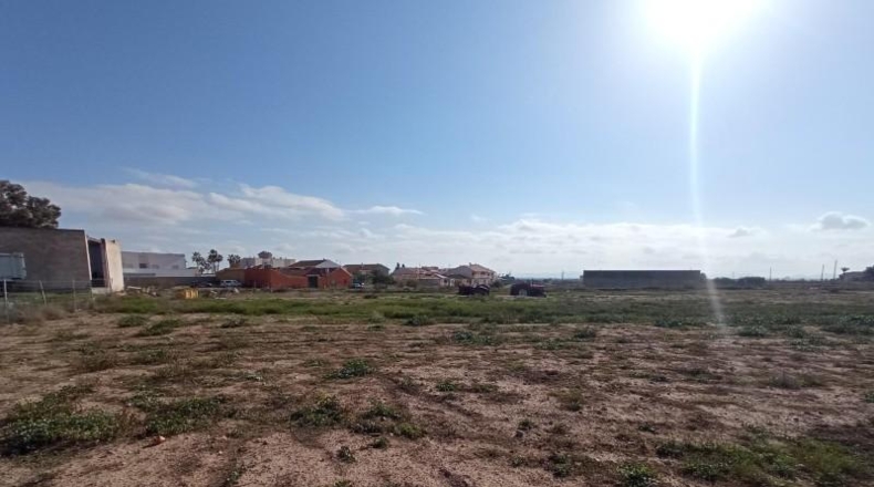 Murcia - Murcia - 10000m2