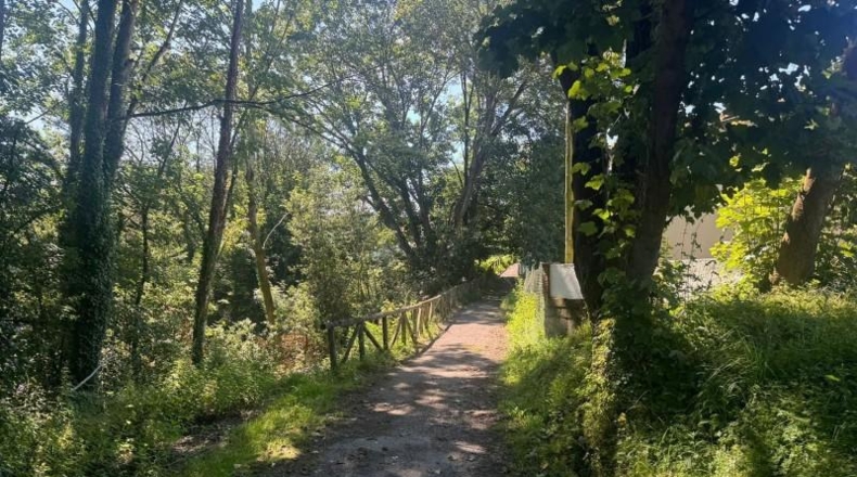 Asturias - Oviedo - 1679m2